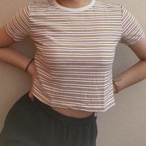 Brandy Melville Colorful Stripped Crop Top